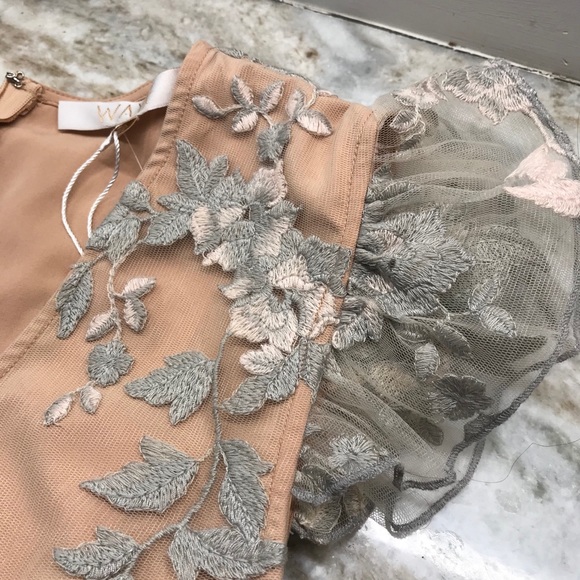 WAYF Oakfield Embroidered Mini Dress - Picture 10 of 14